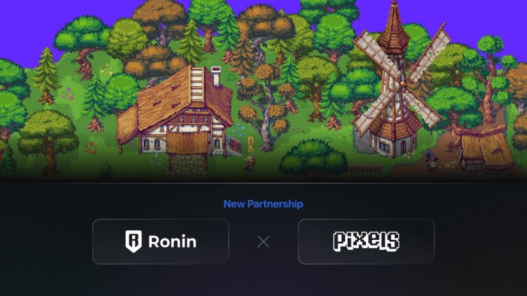 Ronin network