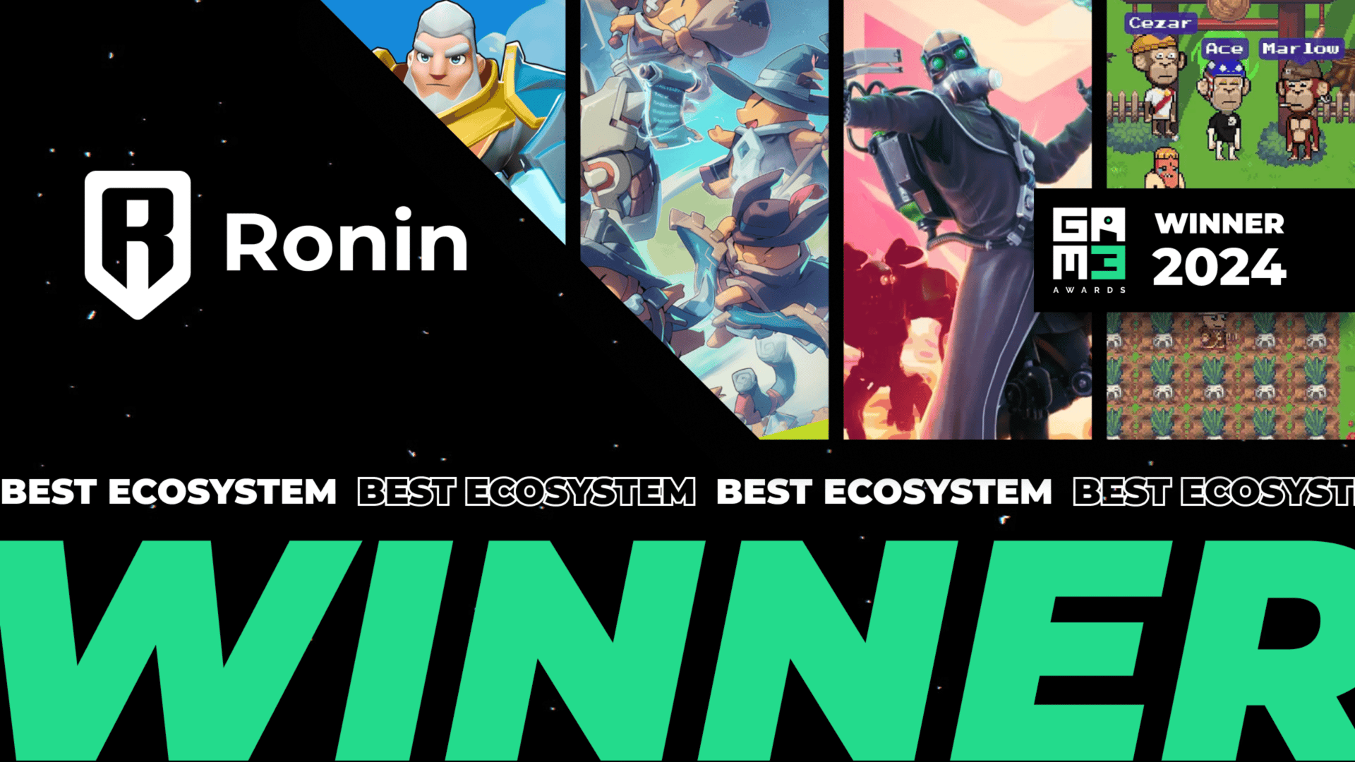The Ronin Ecosystem