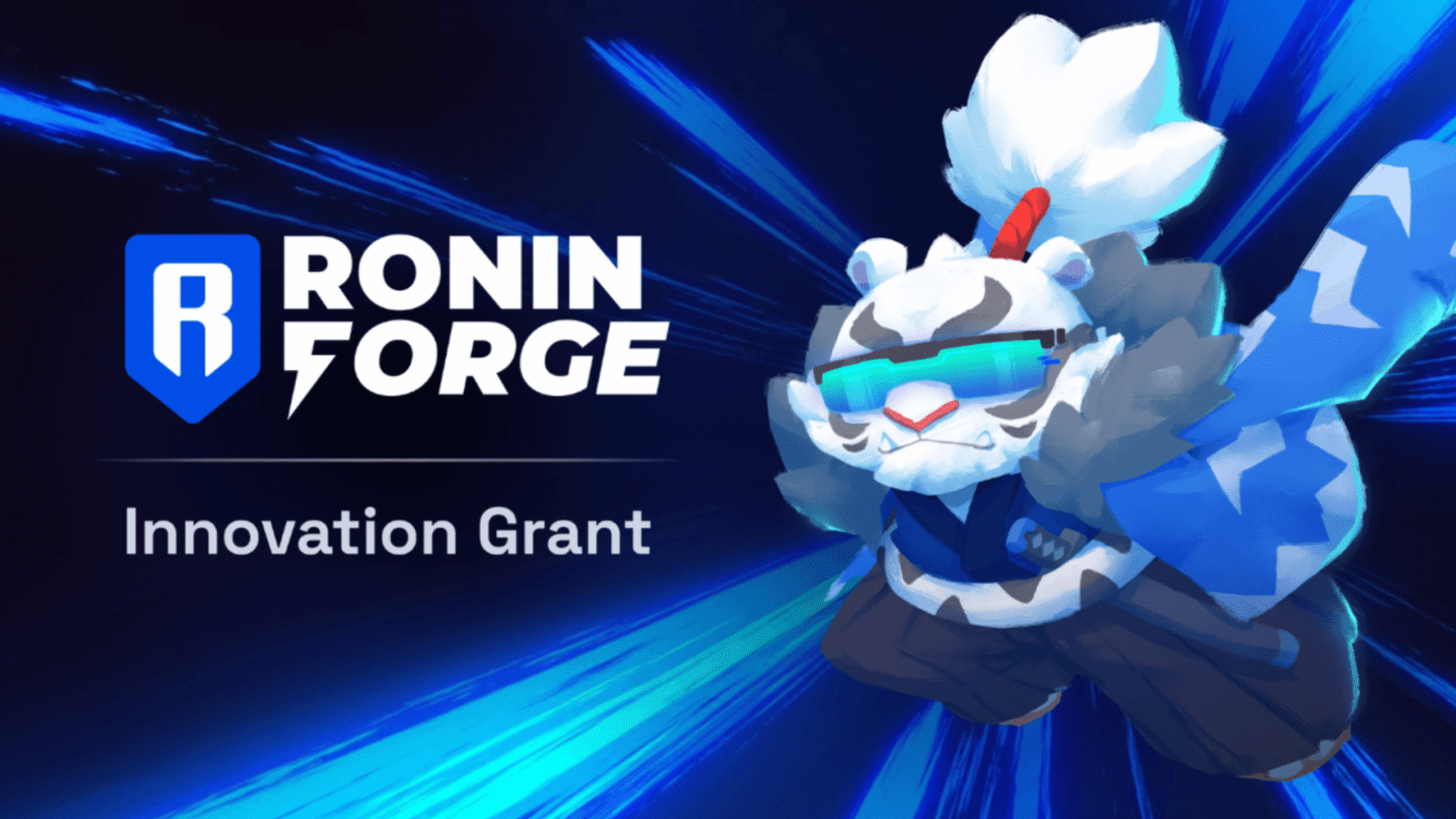 Ronin Network developers building Web3 games