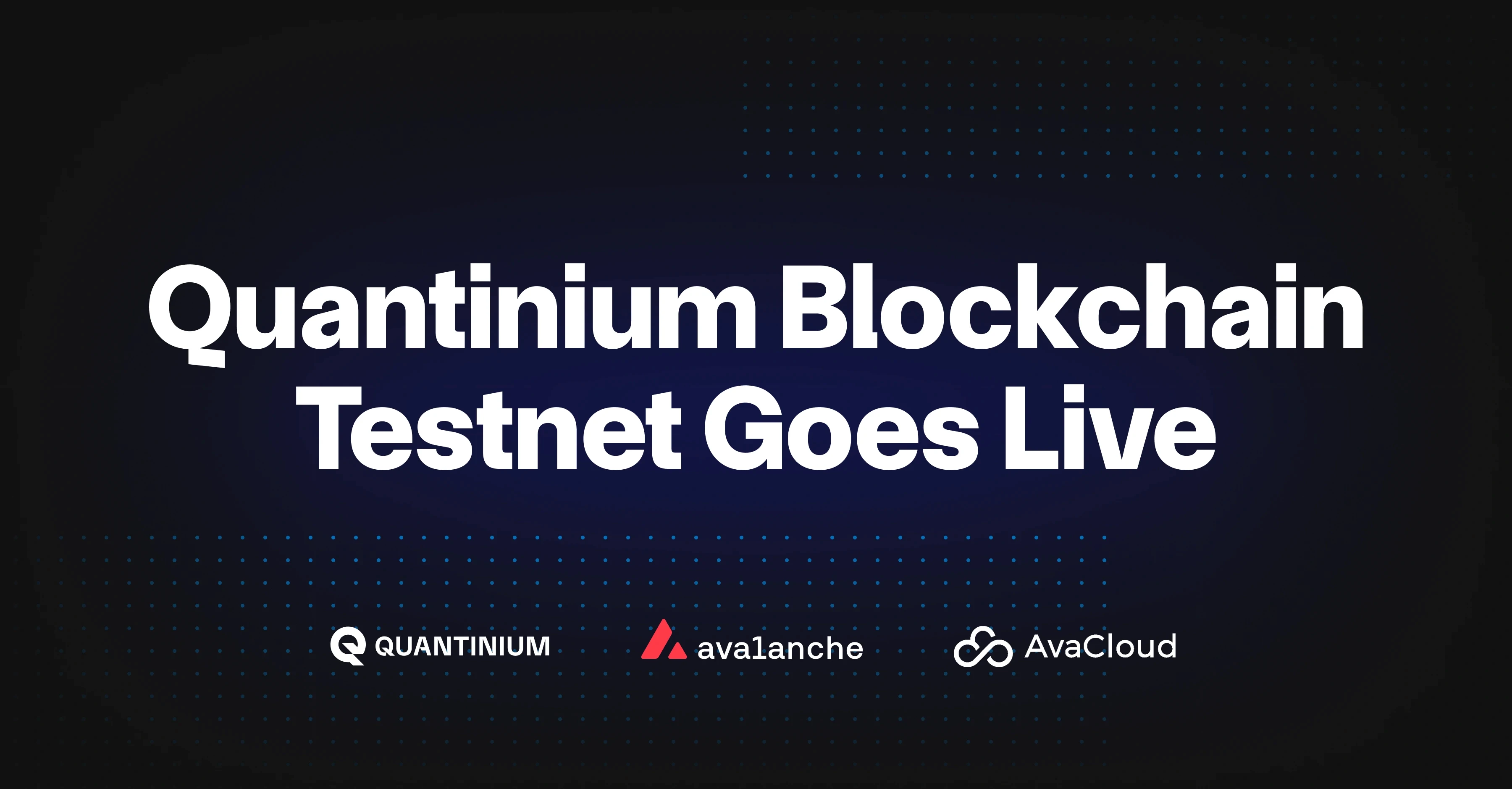 blockchain testnet deployment