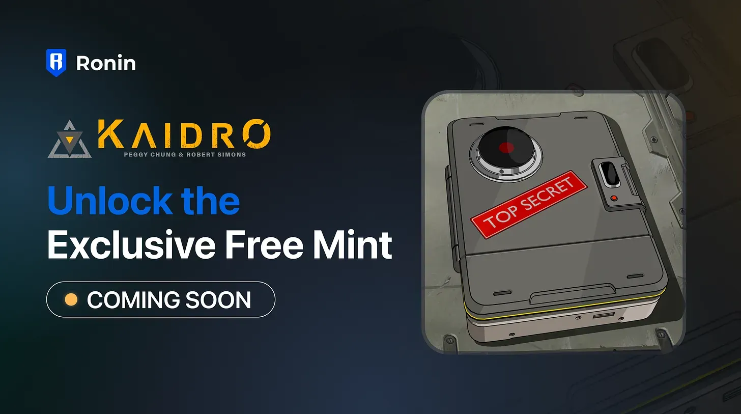 Kaidro blockchain game Ronin