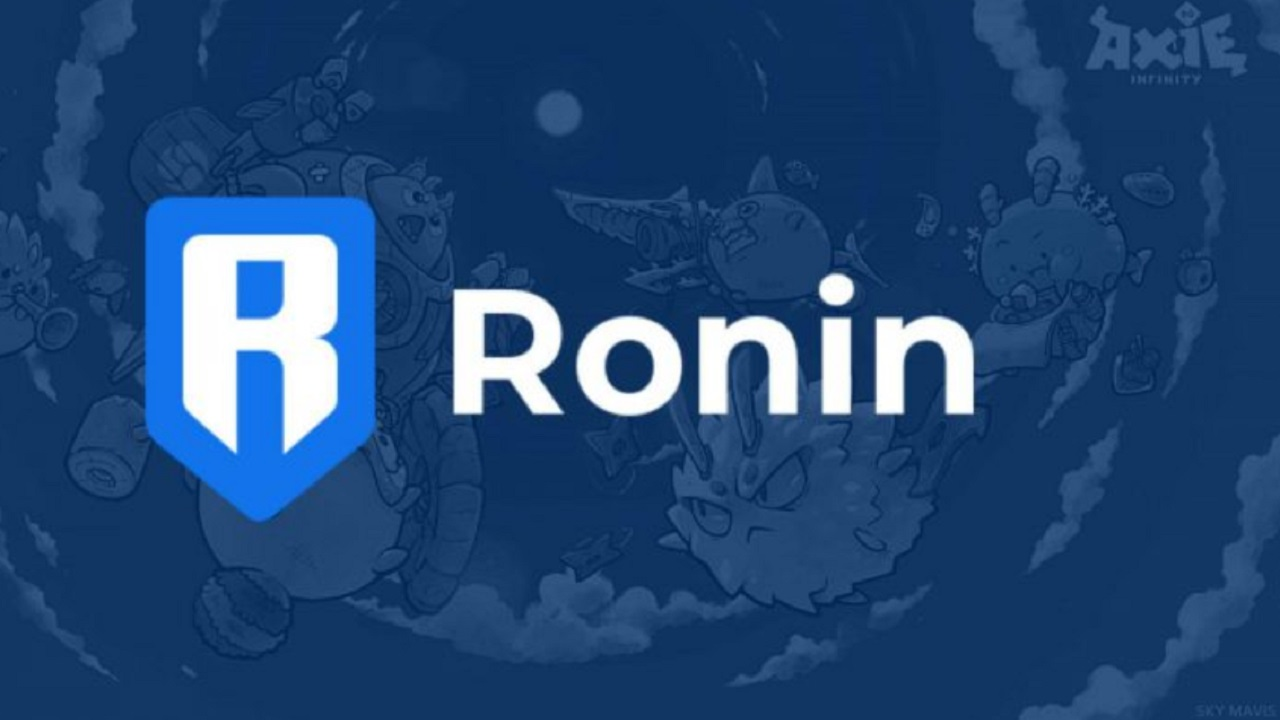 Ronin Network governance participation